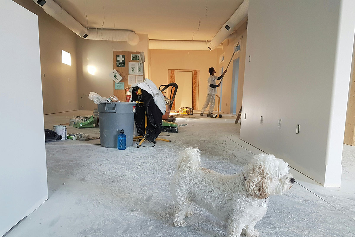 Painter who renovate a property
